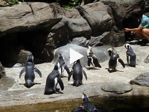 そんな中１番の人気者たち～～～！