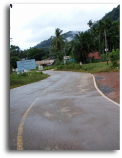 7:30~マンゴーハウスへ向う