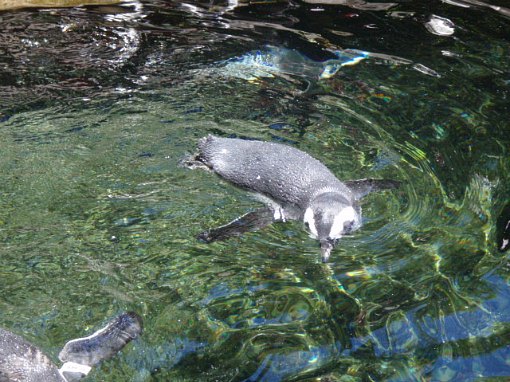 プニプニしてた！！って、触れて喜んでる夫
