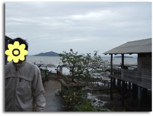 残念ながらマンゴーハウスの開店は、まだでした(.)