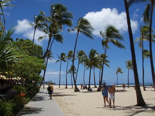 ダイアモンドヘッド方向を見てみる～