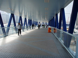 連絡橋ができていた!