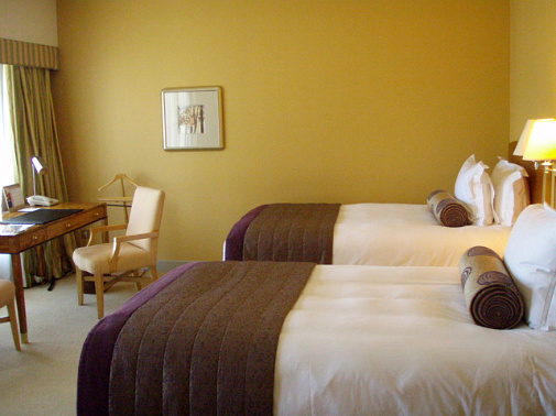 めずらしくツイン。。。そのわけは、単に価格で選んでみました(笑