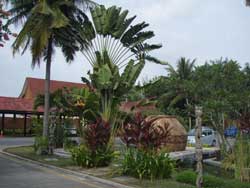 エントランス前の置物~