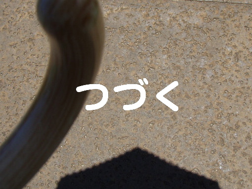 グアムで帽子とサヨナラしたから日傘で歩く