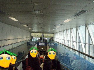 香港に、酔い酔い