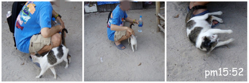 起きたようだ(笑