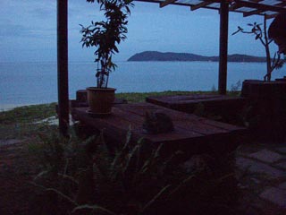 あらら??招き猫!?