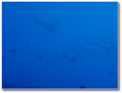 バイバイ～～(^o^)/~~