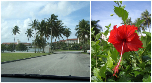 今日もお天気良さそう～♪
