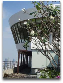 ガーデンからラウンジを見る