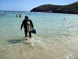 ビーチエントリー