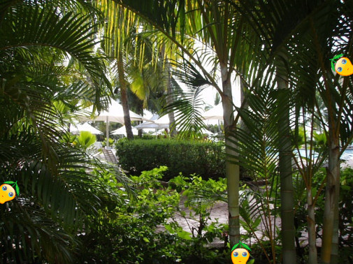 緑いっぱいの向こうにある♪