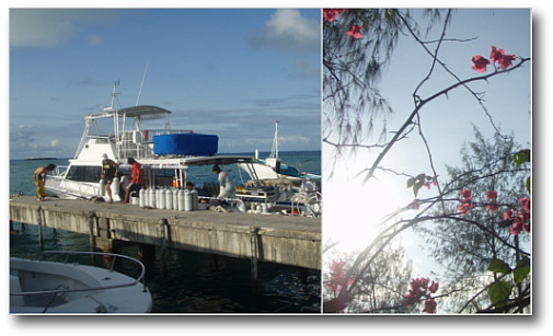 17:10 港に到着～