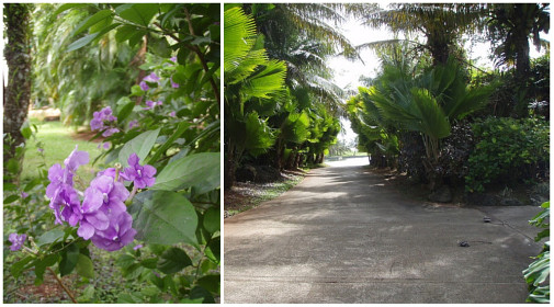 花と緑を散策して～