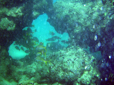 竜宮城の入り口かぁ～♪