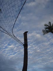 この子も待ってる