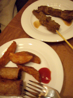 串焼きと揚げ春巻き～