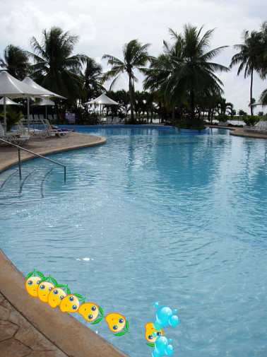 ベルヴェデーレプールで～す!