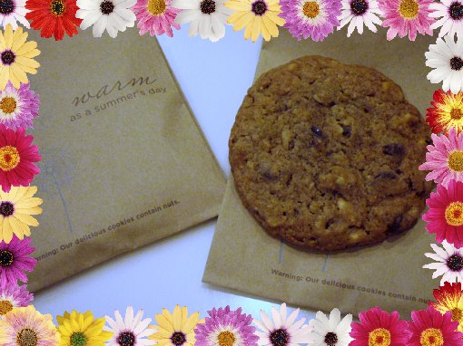 チョコチップホットクッキー♪