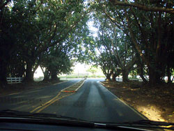 トンネルを抜けると～