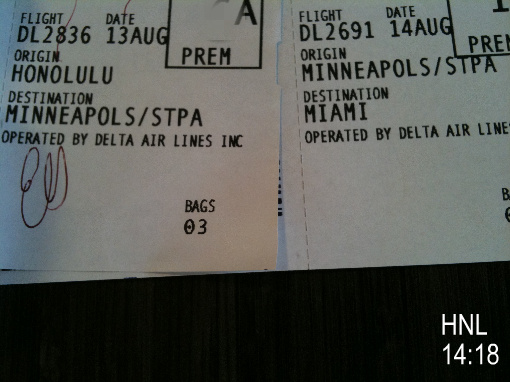 いつも撮らないのになぜか妙な感じがして撮ってた!バックは3つ!