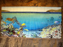 ここで待ってる魚たち～