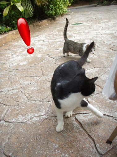 突然みどりの中からあらわれた～♪