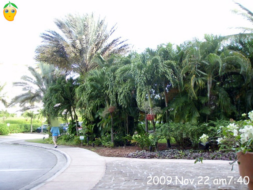 朝です♪出発～