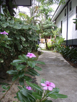 で、またまっすぐ♪