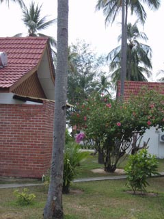 9 コテージの間にもお花がいっぱい