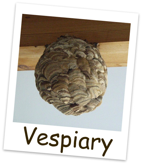 スズメバチの巣