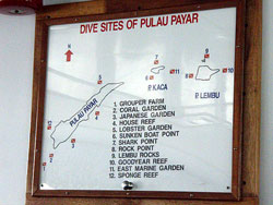 ダイビングポイント~