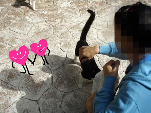 昨夜のゲストにゃーさんが友達をつれてきた♪