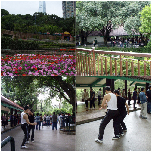 日曜日の九龍公園～「フゥーハァー！」とかいろいろやってる。