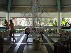 13 娯楽室から中庭