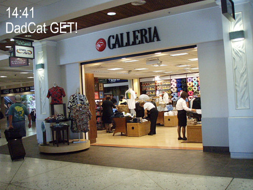 最後の最後に空港にてクレイジーシャツ、ダッドキャットイラスト購入♪ワタシのじゃないけど(笑