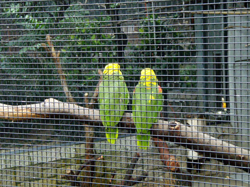 カップルが多い