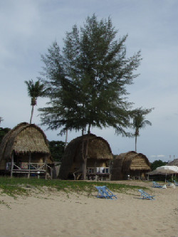 ビーチに出てきました