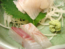お刺身