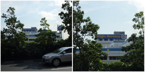 道を挟んだ向かい側～バイバイタイガービール(^o^)/また来るよ♪