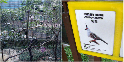 とてもみごたえがあります。