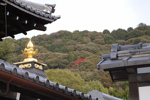 清水寺から東山を撮影