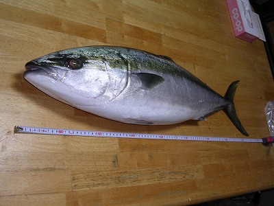 87ｃｍ