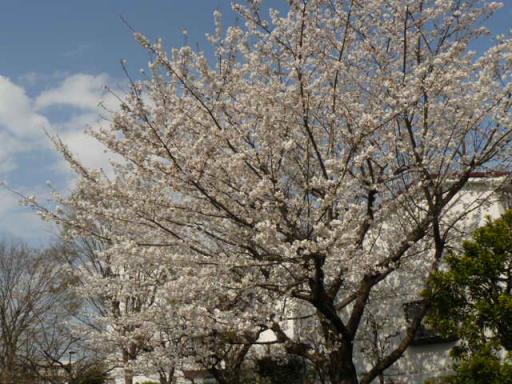 縮小１０祭り７