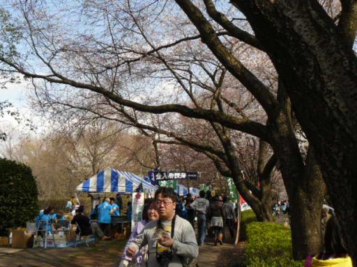 縮小１０祭り４