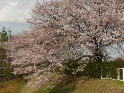 縮小１０祭り１