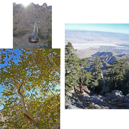 top of the mtn.jpg