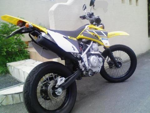 ワイゼットリッカー後姿