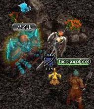 バイル３.JPG